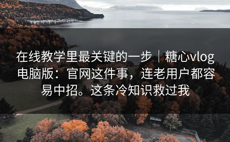在线教学里最关键的一步｜糖心vlog电脑版：官网这件事，连老用户都容易中招。这条冷知识救过我  第1张